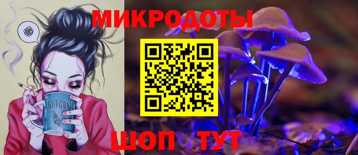 Галлюциногенные грибы GOLDEN TEACHER  Галлюциногенные грибы Psilocybine cubensis  Тверь  Вход с VPN 