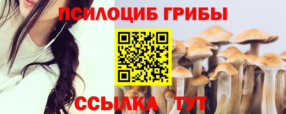 Галлюциногенные грибы GOLDEN TEACHER Тверь